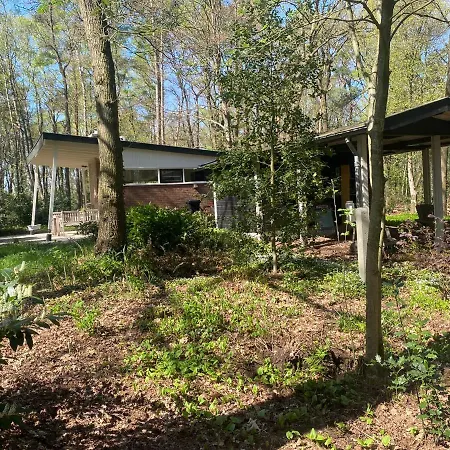 Bergzicht De Specht Luxe Boshuis