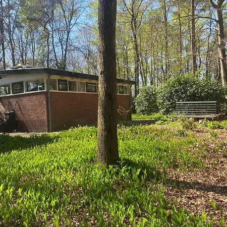 Bergzicht De Specht Luxe Boshuis *