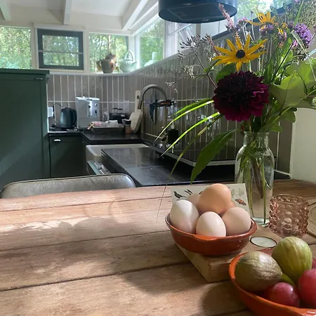 Bergzicht De Specht Luxe Boshuis