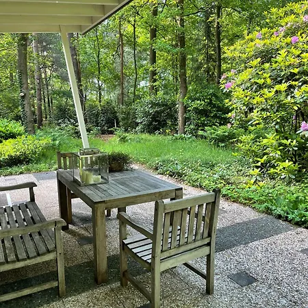 Bergzicht De Specht Luxe Boshuis * Barchem