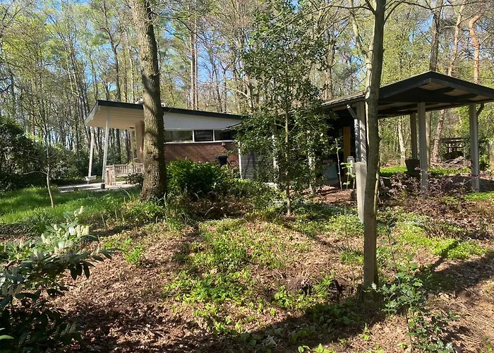 Bergzicht De Specht Luxe Boshuis