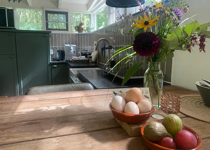 Bergzicht De Specht Luxe Boshuis