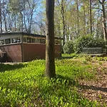 Bergzicht De Specht Luxe Boshuis *